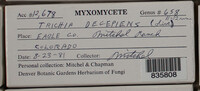Image Associated With the Occurence